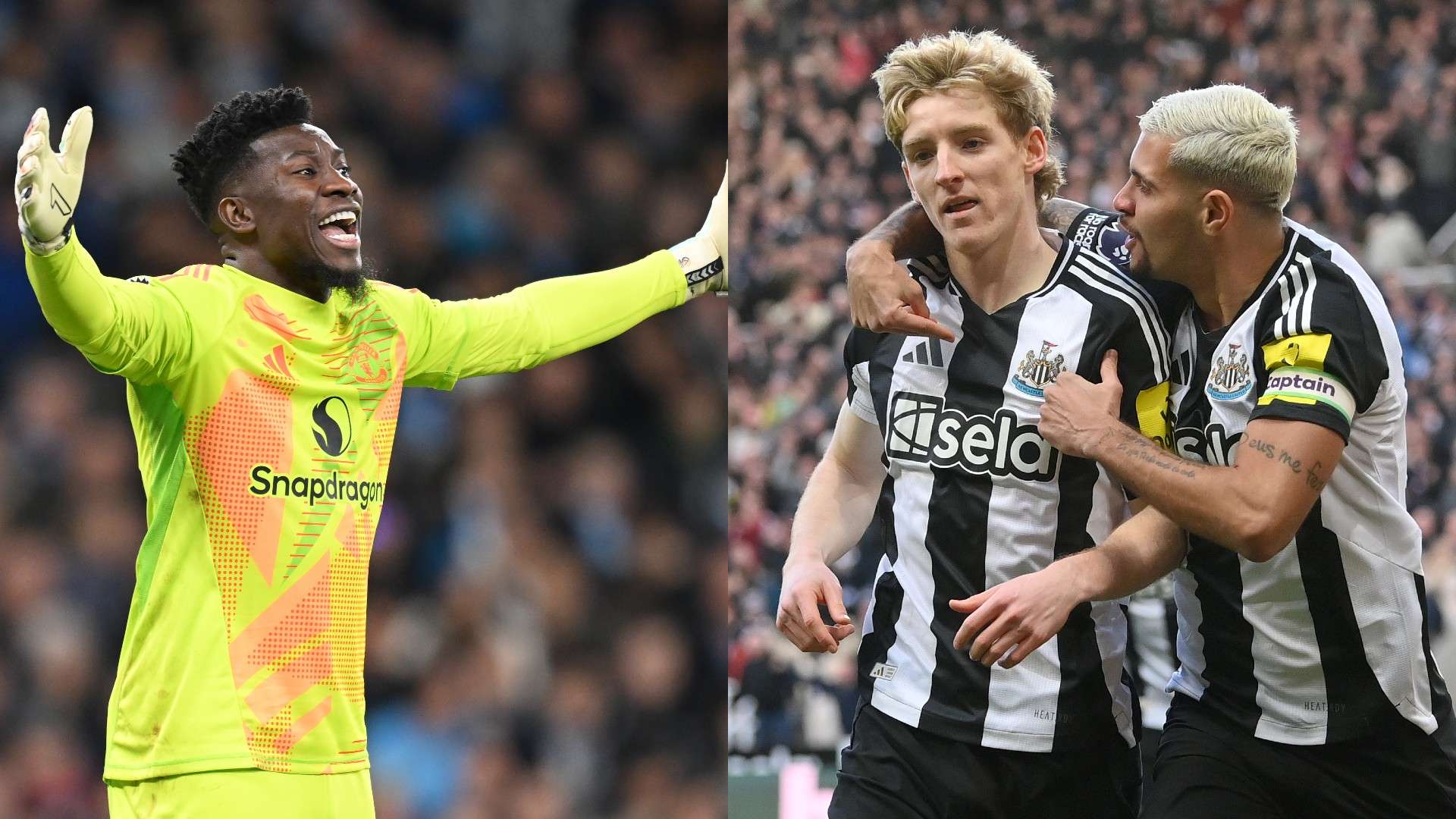 体育交流中 体育交流中